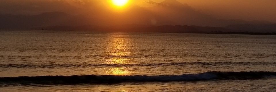 pro1262's profile banner image