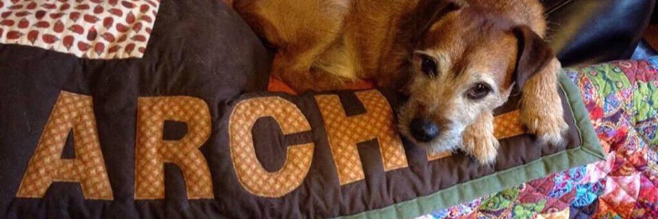Archie The Sewin Dog banner