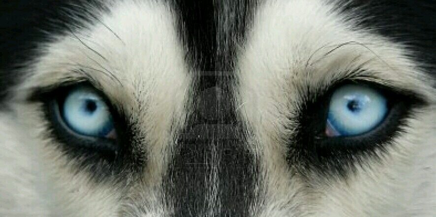 Lizottenx's profile banner image
