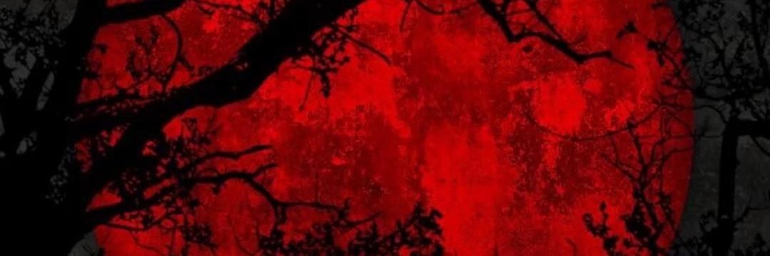 sbeltranj's profile banner image