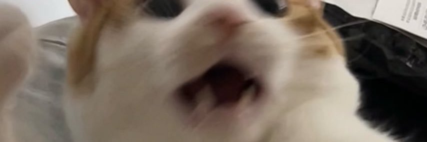Oowunsz's profile banner image