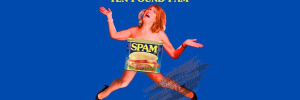 ThePamFord Profile Banner