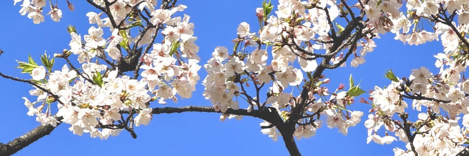 tasku_endo's profile banner image