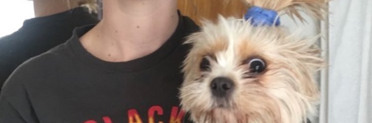 Kelly Mittendorf banner