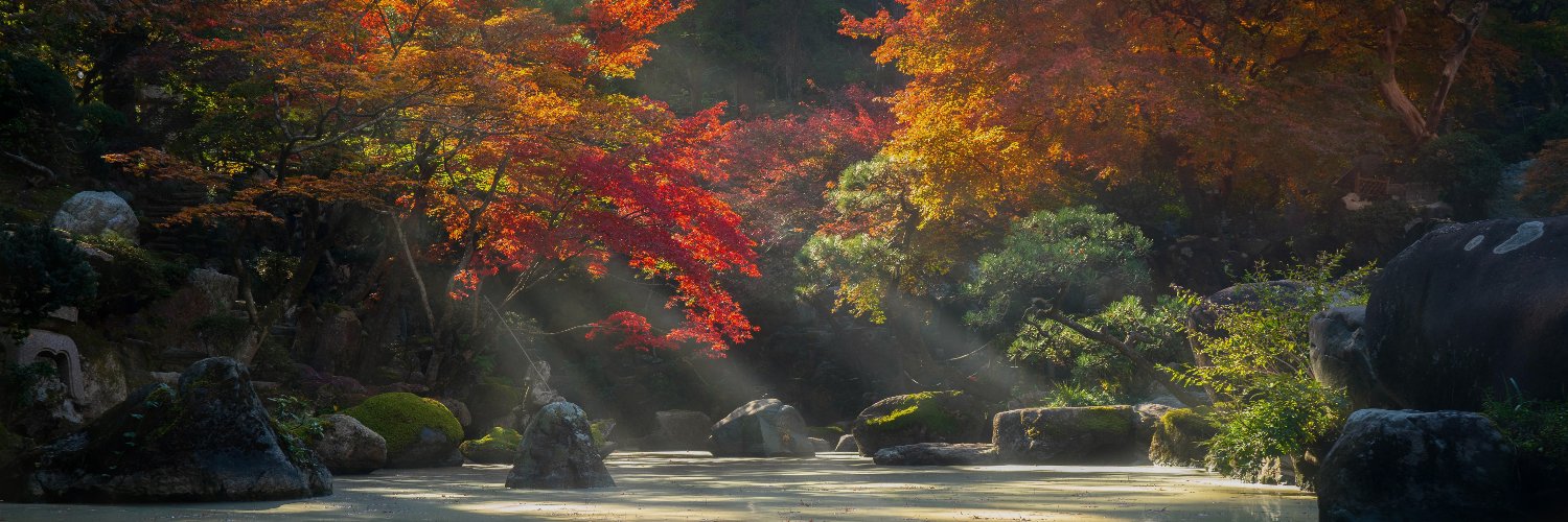 Adam Tal 🚀 banner