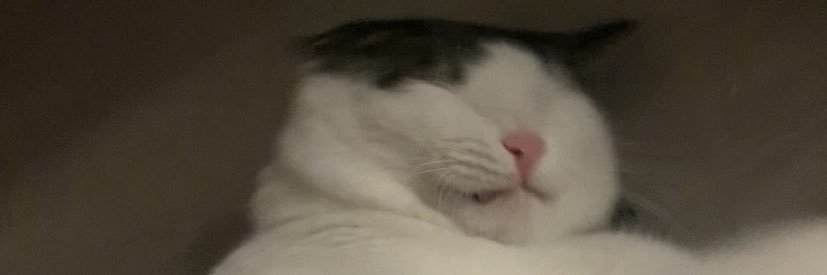 n0capsule's profile banner image