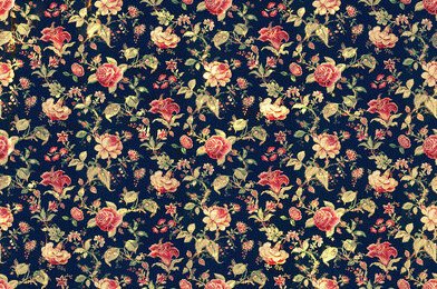 icarianisa's profile banner image