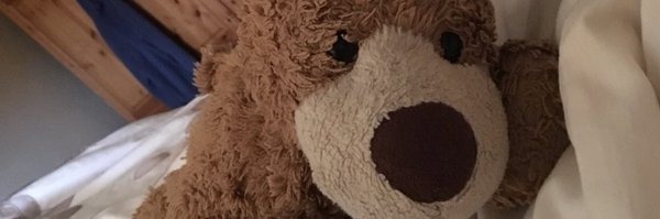 Alibaby237 Profile Banner