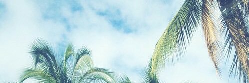 950902's profile banner image