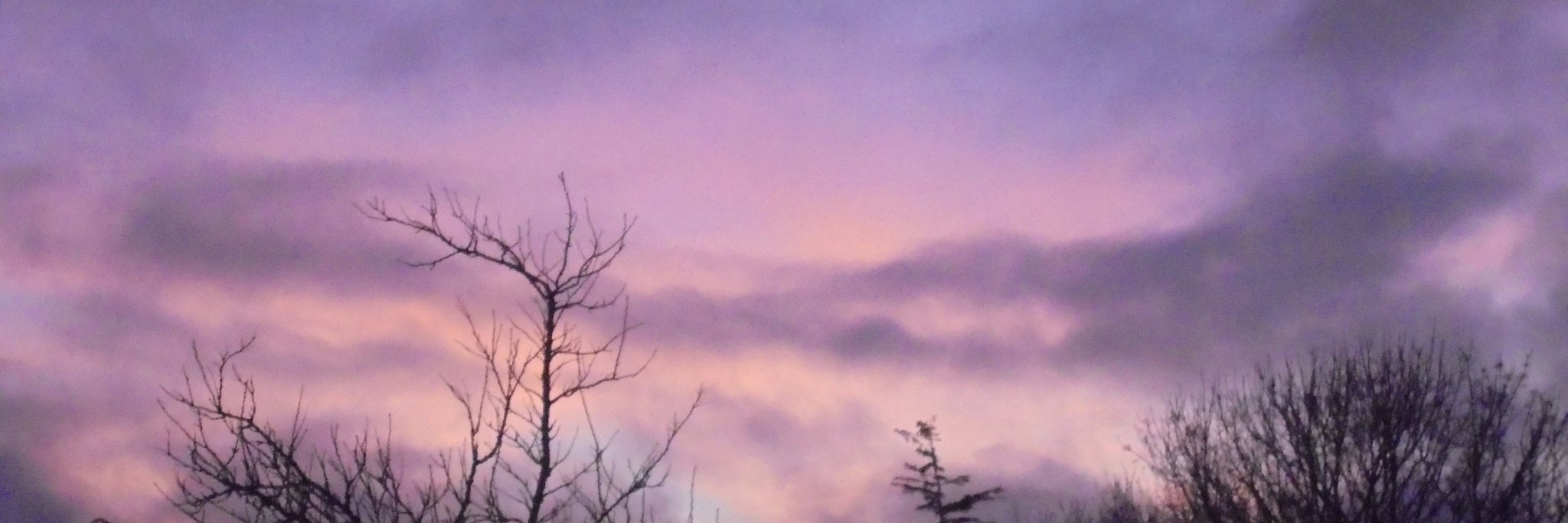 QueenB_Army's profile banner image