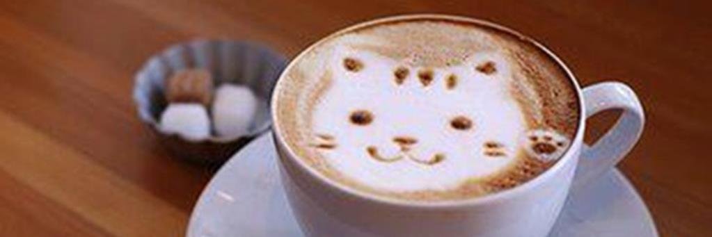 jkitties's profile banner image