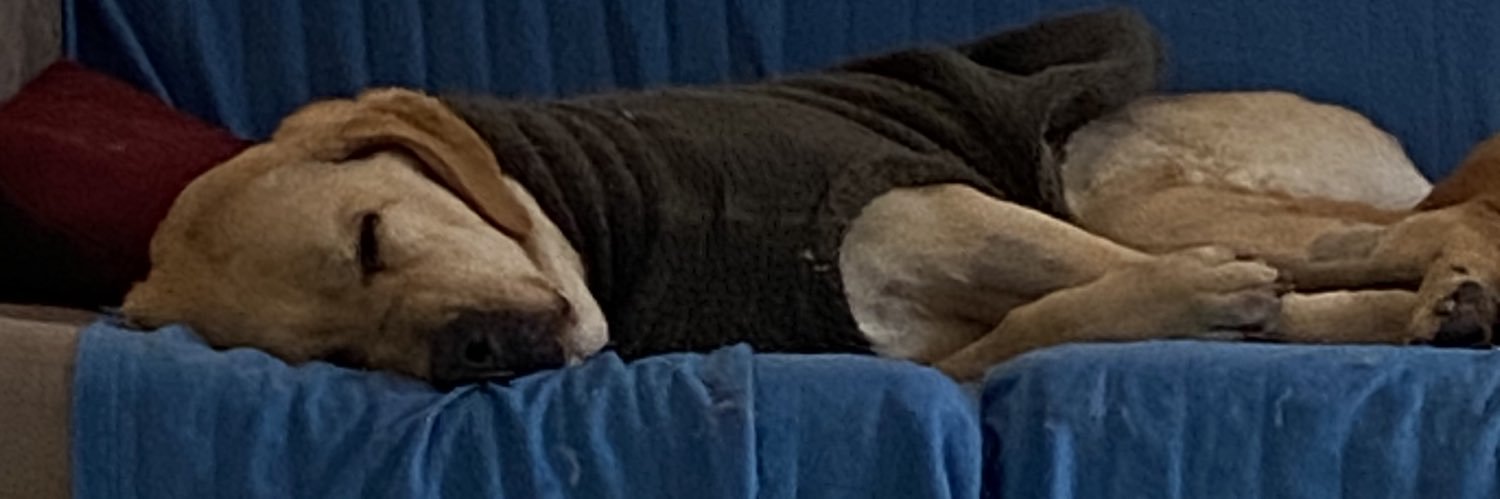 SezzySwann's profile banner image