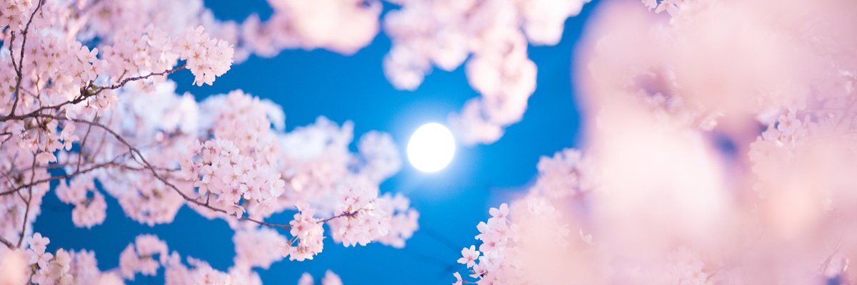 _mintiaringo's profile banner image