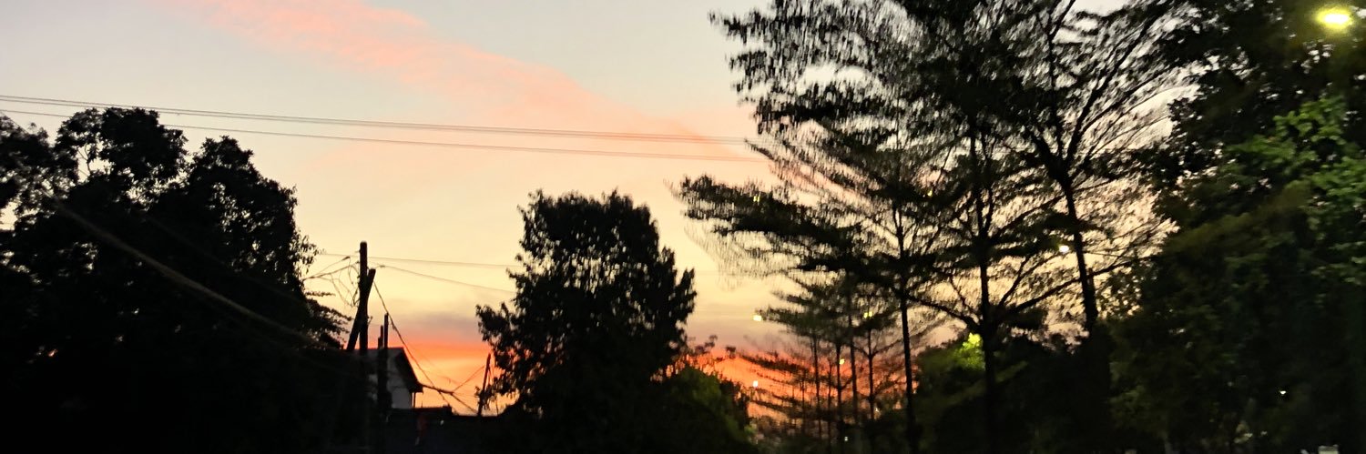 amilahdita's profile banner image
