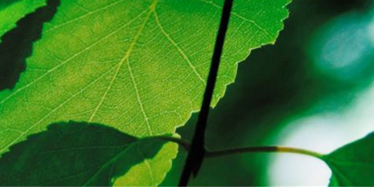 CPPumpSystems's profile banner image