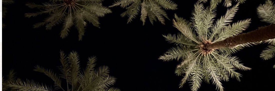 AlabbasiSara's profile banner image