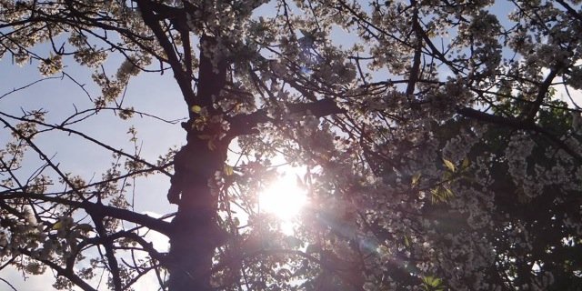 _rromyx's profile banner image