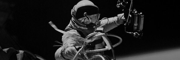 inmortalcrypto Profile Banner