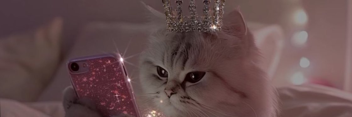 pinKulin's profile banner image