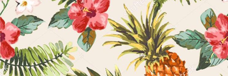 thebrookiejar's profile banner image