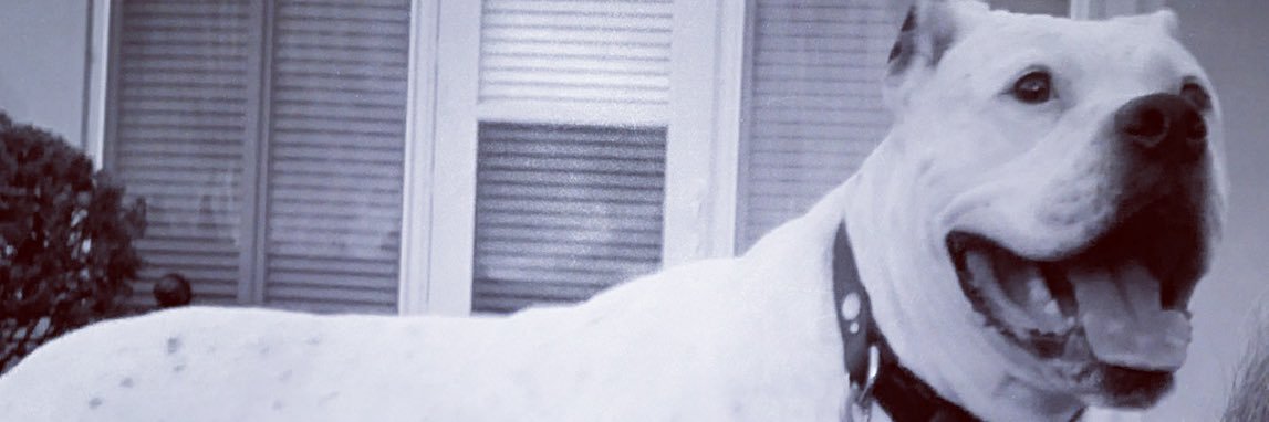 donna_mccrum's profile banner image