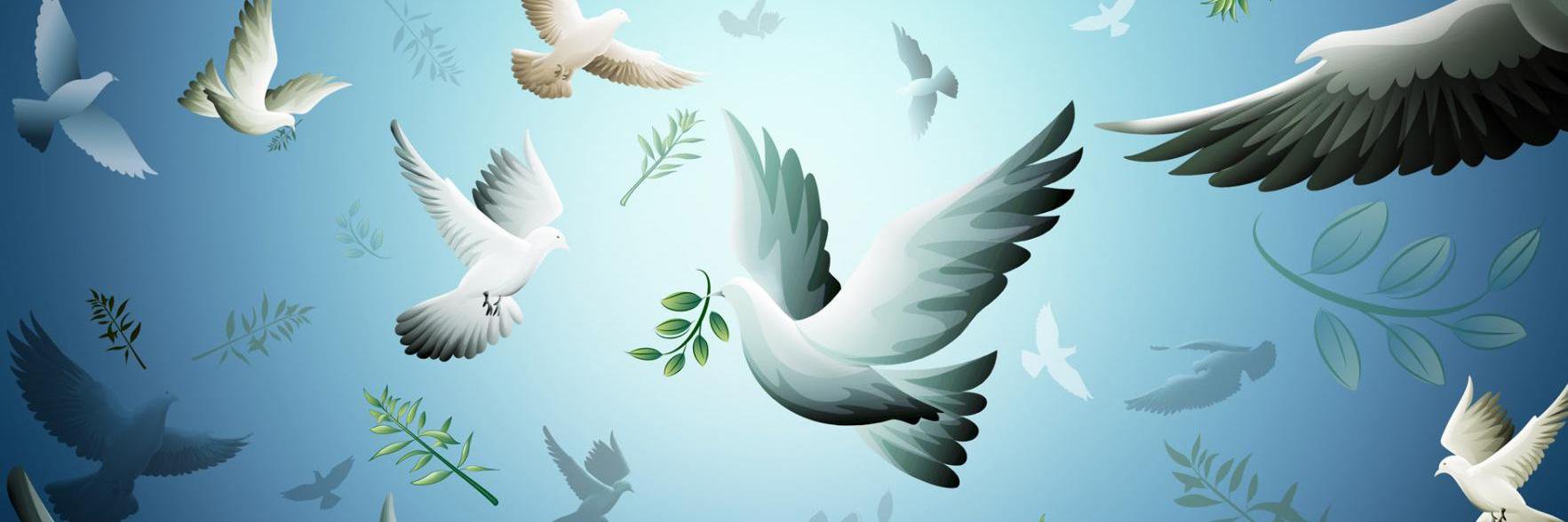 midemarest's profile banner image