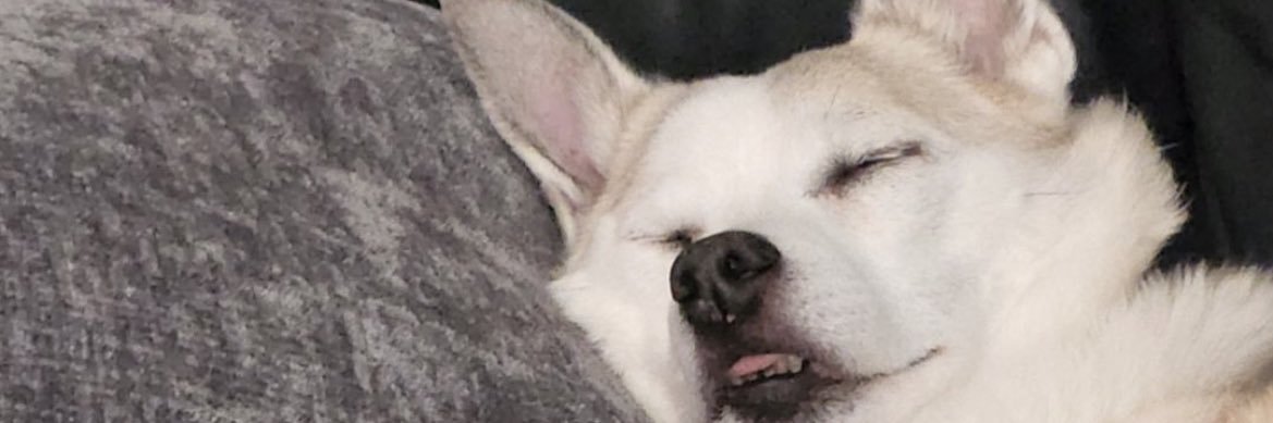 lil_diff's profile banner image