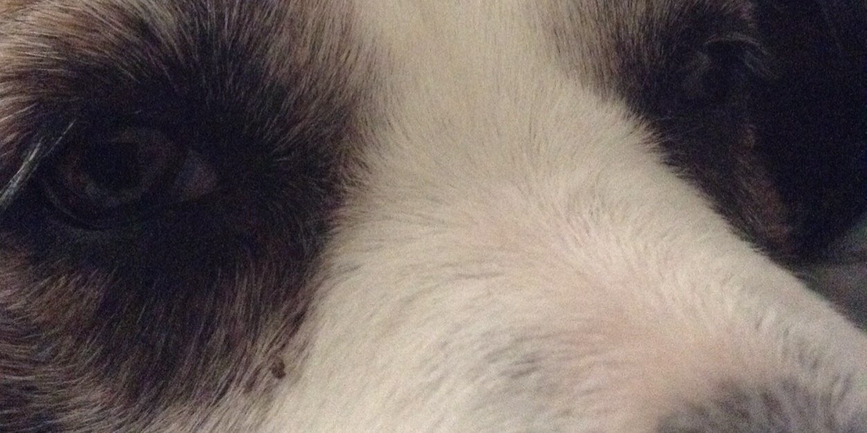 sherryshipes's profile banner image