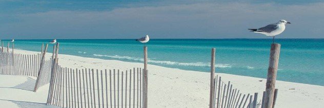 mirele1's profile banner image