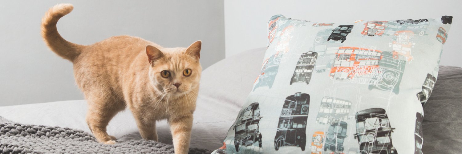 C h a r l i e  P i e banner