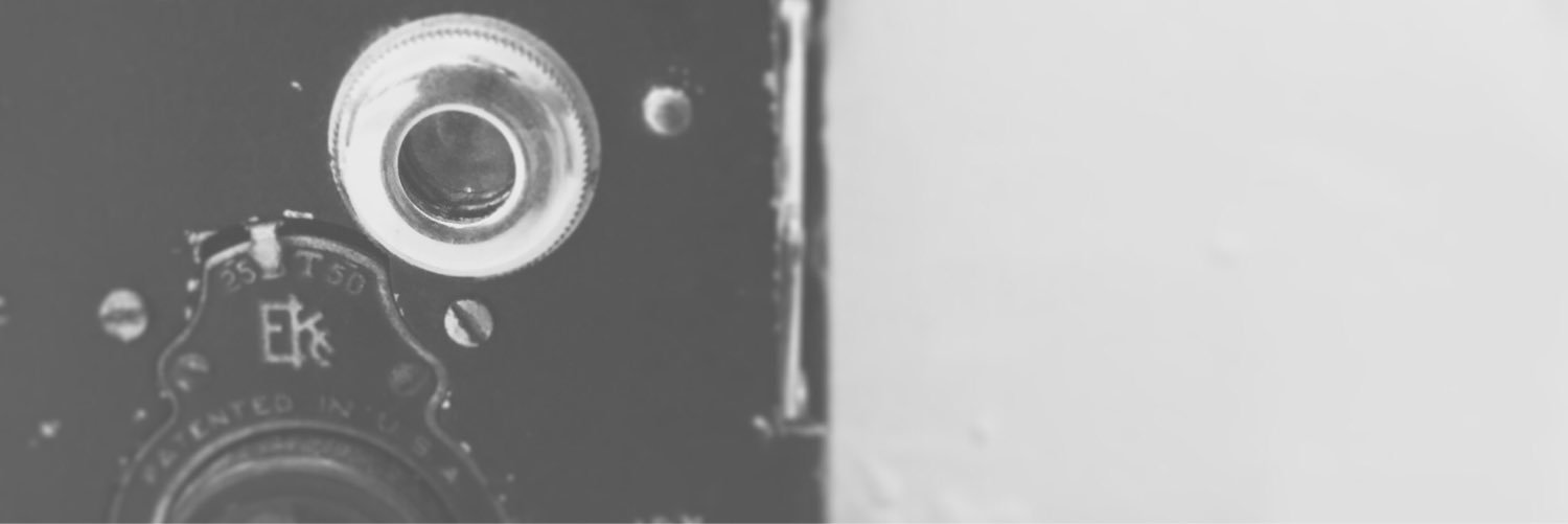 birdie_gallery's profile banner image