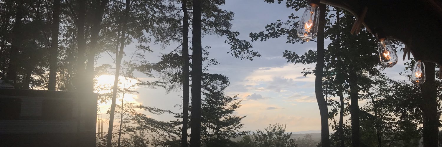 Diane Folk, BSCE, M.Ed banner