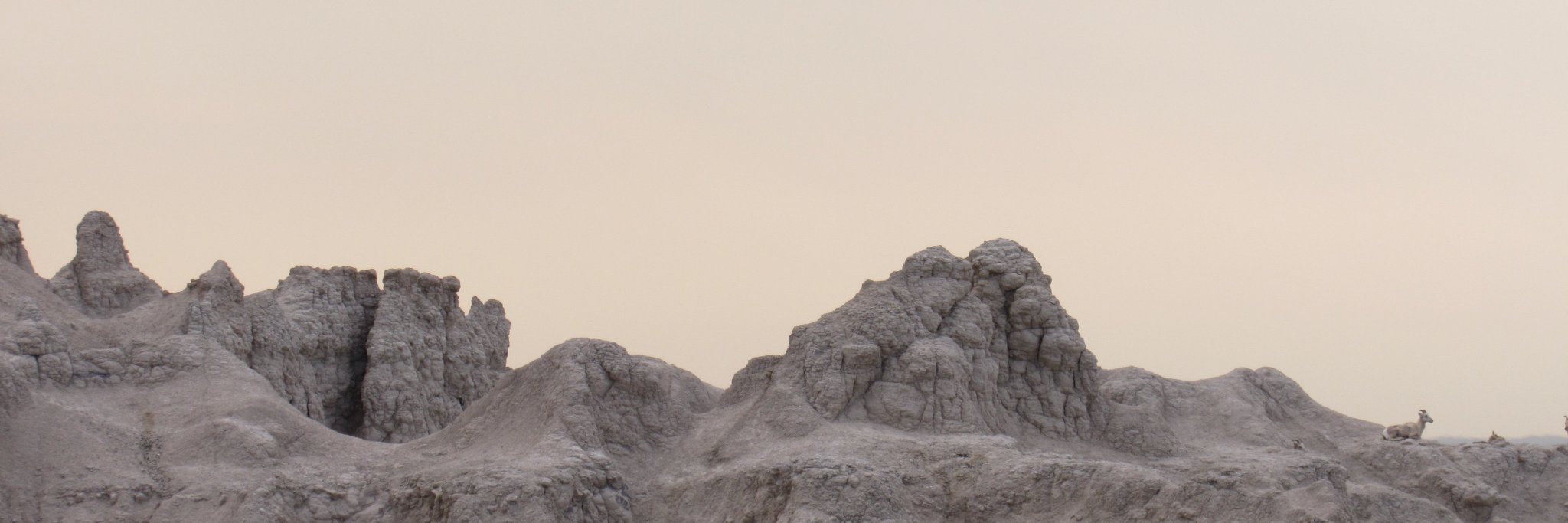 blakes812's profile banner image