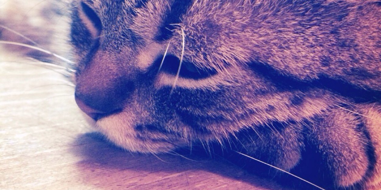 keito6187's profile banner image