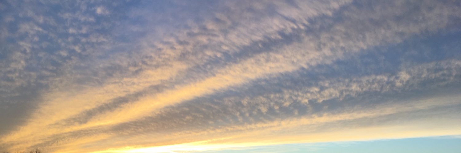 GuMenani's profile banner image