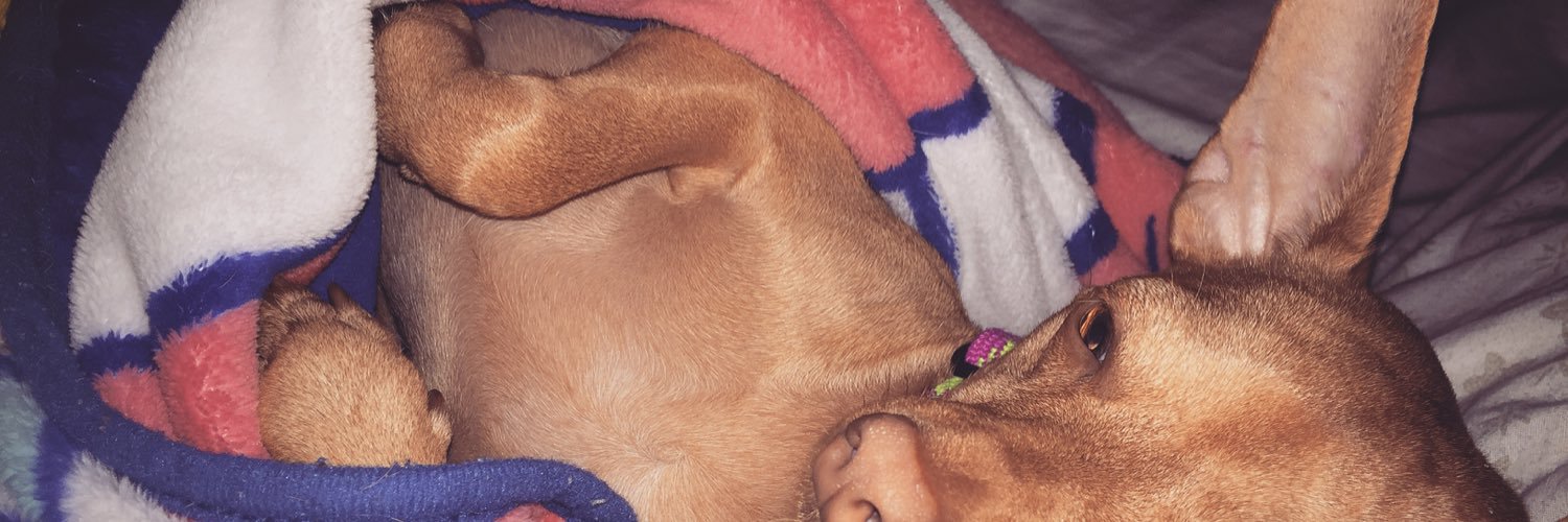 babynic_'s profile banner image