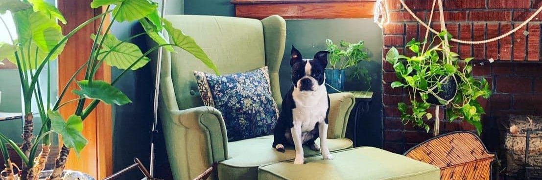 Jen Swanson ✌️ banner