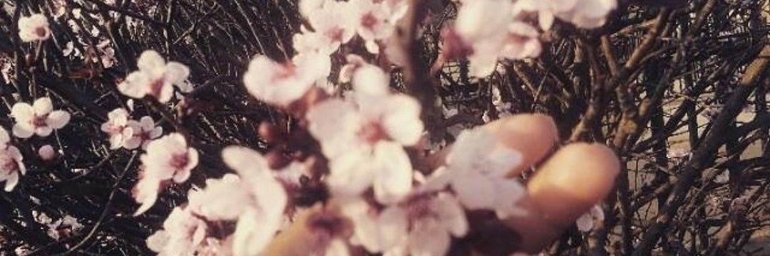 DorothyFelo's profile banner image