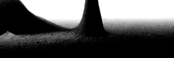 EveryoneIsGross Profile Banner