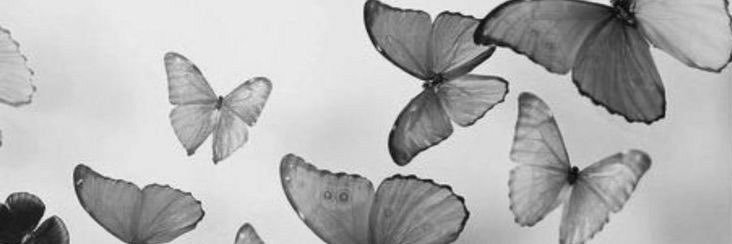 brynnnnnb's profile banner image