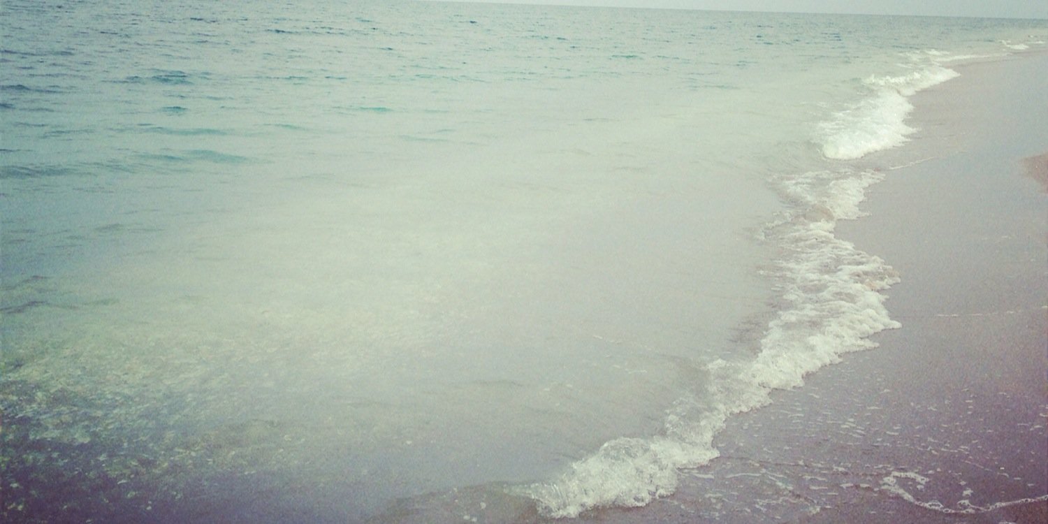 ThisFloridaGirl's profile banner image