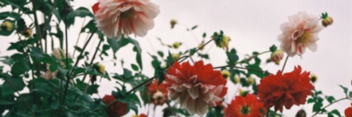 Belenmt_20's profile banner image