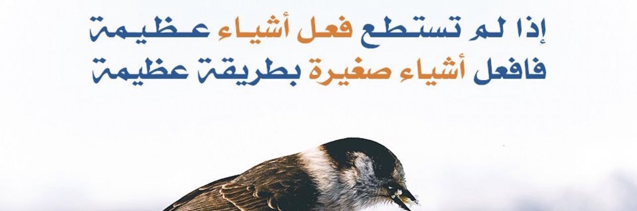 we2221391's profile banner image