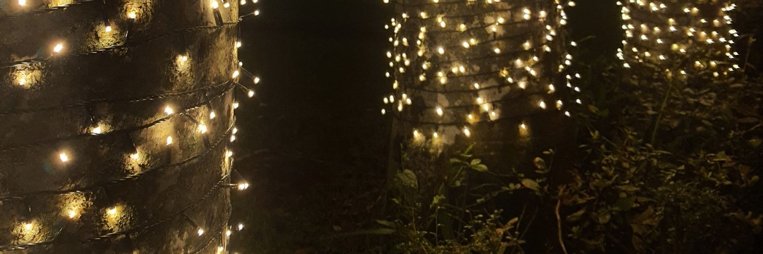 mehroxy's profile banner image