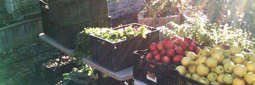 Carroll Gardens CSA banner
