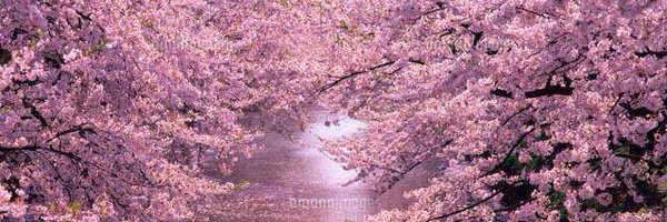 et408z Profile Banner