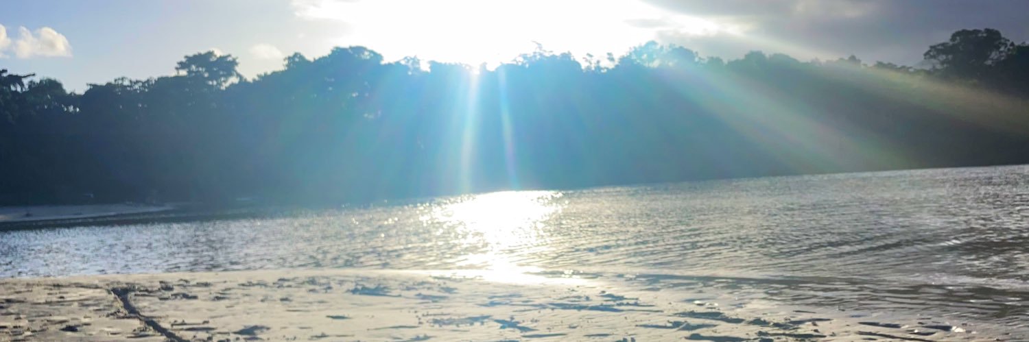 felipethal's profile banner image