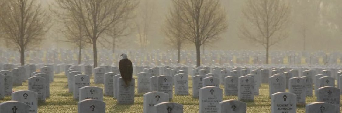 vickip24's profile banner image