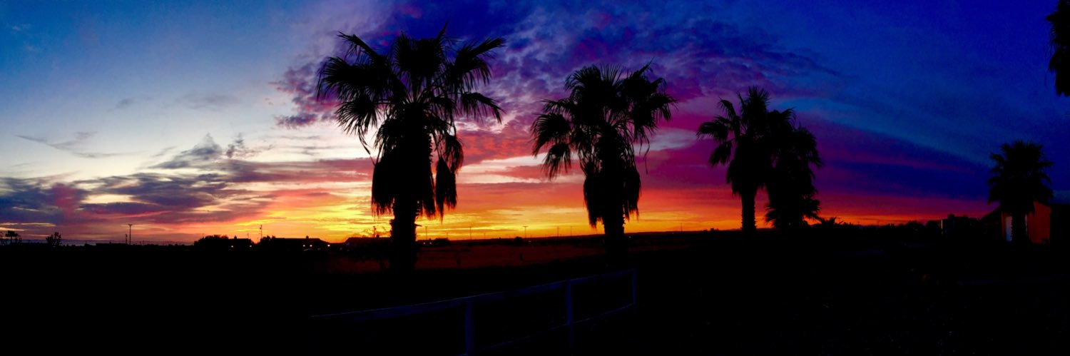 Dr. Maria Thompson banner