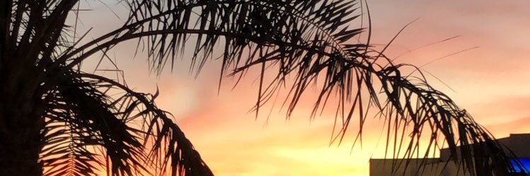 Danam_98's profile banner image